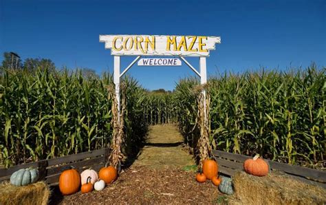 A guide to pumpkin patches, corn mazes and fall fun galore